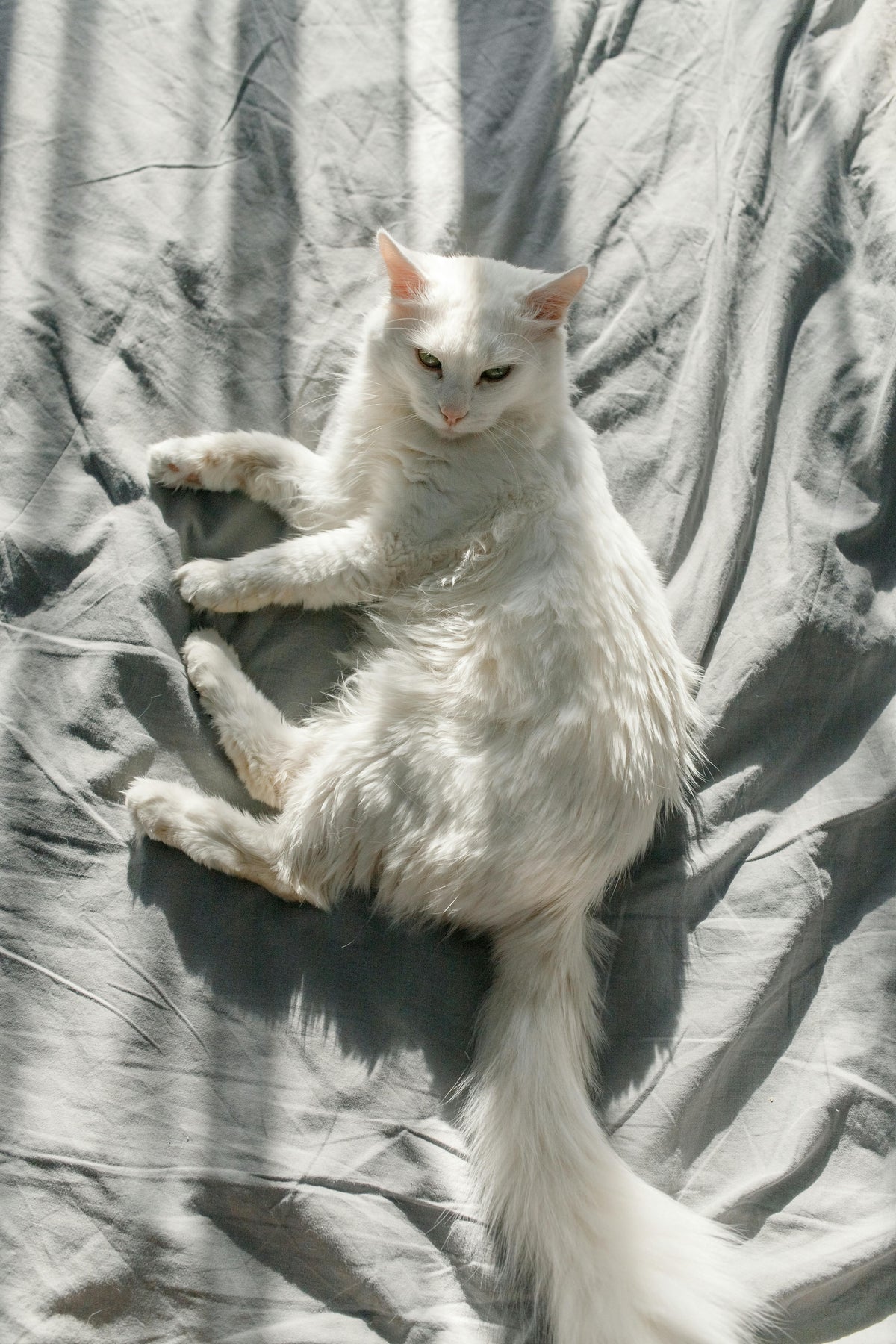 bed sheets